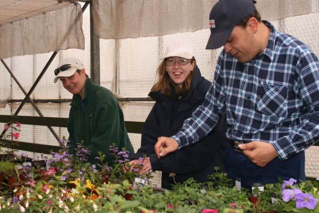 Workers at Brooke Farm