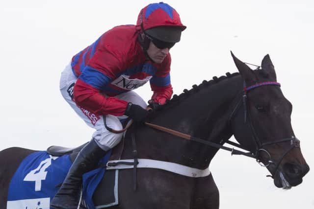 RETURN OF A SUPERSTAR -- Sprinter Sacre in action at Ascot last Saturday (PHOTO BY: Julian Herbert/PA Wire).