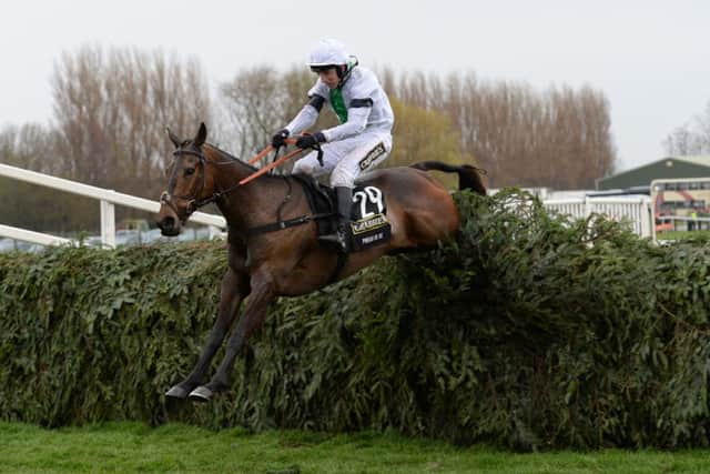 NATIONAL HERO -- Pineau De Re jumps the last fence en route to victory in the 2014 Crabbie's Grand National (PHOTO BY: John Giles/PA Wire).