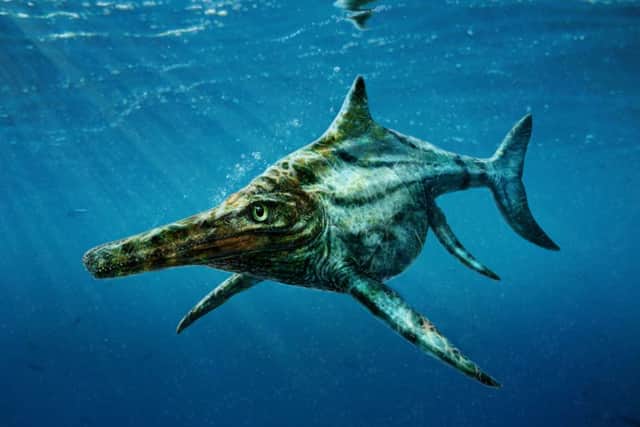 An icthyhosaur.