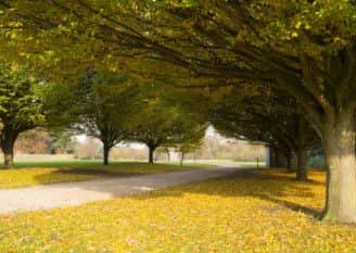 Rufford Country Park