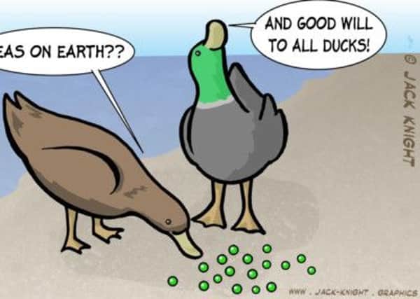 Jack Knight's cartoon re advice to feed ducks pea instead of bread.