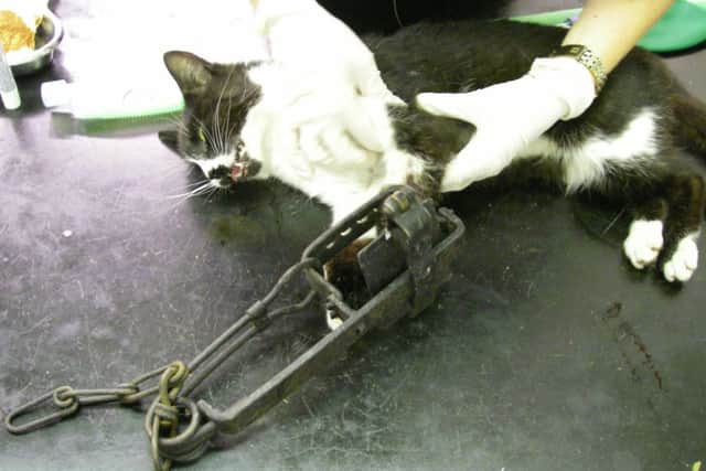 A trap similar to the one found in Sutton