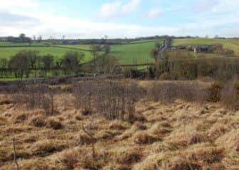 ANNESLEY Woodhouse Quarry, the nature reserve where the sheep was attacked. (PHOTO BY: Graham Shaw)