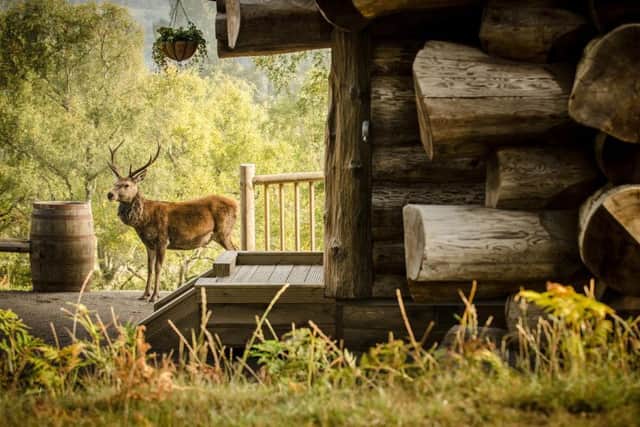 Eagle Brae offers great wildlife and spectacular scenery
