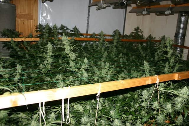 cannabis farm Underwood  following Hucknall police raid