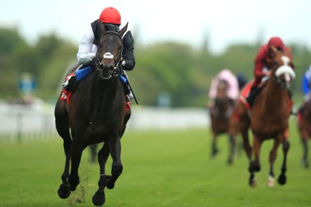 HORN BLOWER -- Investec Derby favourite Golden Horn storms home in the Betfred Dante Stakes at York last month. (PHOTO BY: Mike Egerton/PA Wire).