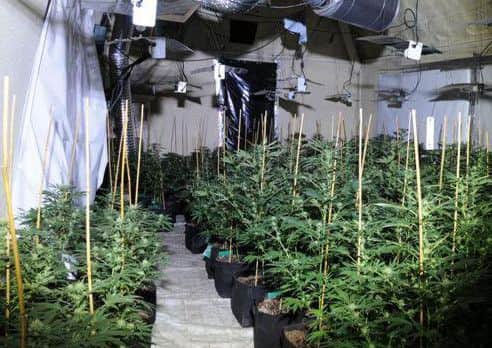 Police seized a stash of cannabis similar to this from property in Worksop.