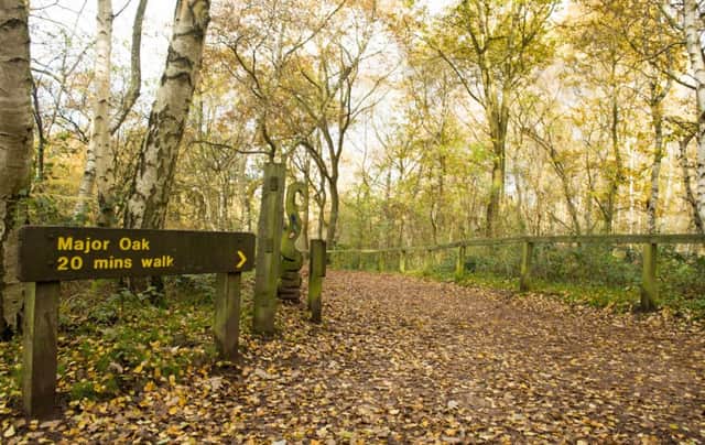 The sixteen-year-old boy was jogging through Sherwood Forest when the incident took place