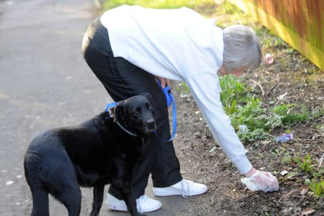 PICKING IT UP -- the council is urging all dog-walkers to be as responsible as this lady.