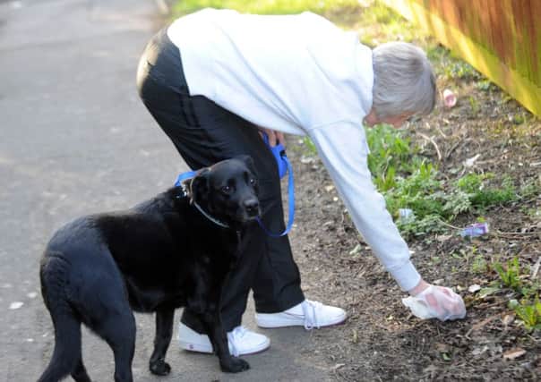 PICKING IT UP -- the council is urging all dog-walkers to be as responsible as this lady.