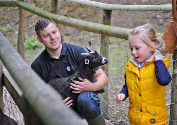 Adam Hind with Houdini the goat and a young visitor to the Willow Tree Family Farm.