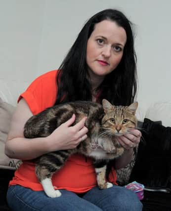 A Cat called Tony, belonging to Jill Walker of Mansfield Woodhouse, which was shot with an Air Rifle, has had to have a front leg amputated.