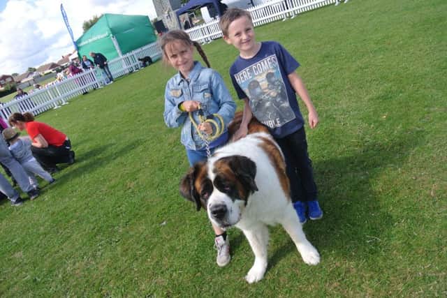Dogs could come too. Carr Lane Park festival.