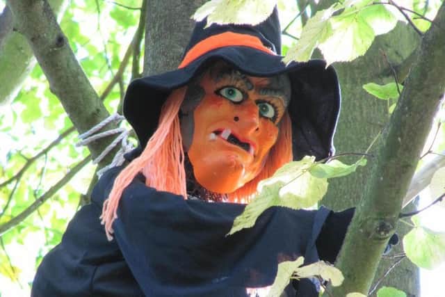 A Halloween trail at Rufford Park is one of the events taking place across the county this weekend