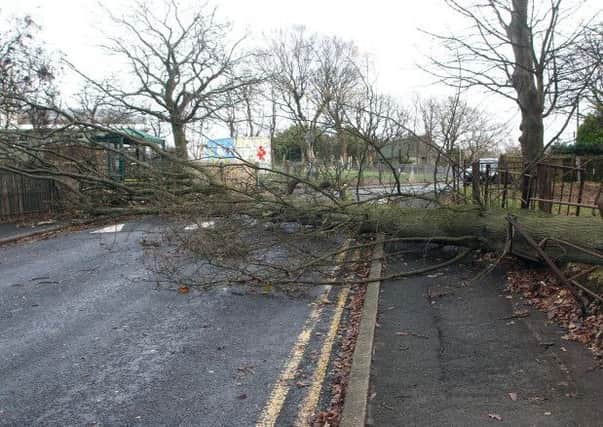 Strong winds could bring down trees and branches this weekend and lead to travel disruption.