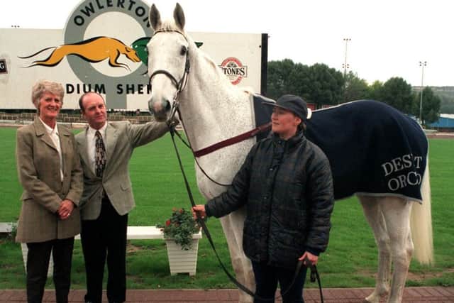 WHITE CHRISTMAS STAR -- the legendary Desert Orchid, who landed Kemptons Christmas showpiece race, the King George VI Chase, four times between 1986 and 1990.