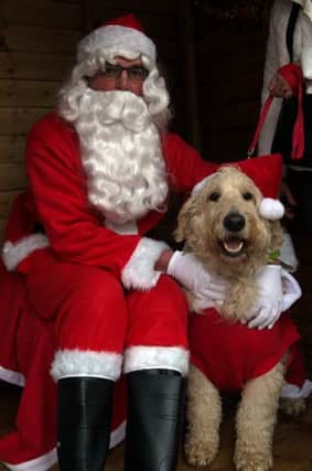 Santas Doggie Grotto in Mansfield, Santa Paws meets his namesake Santa Paws