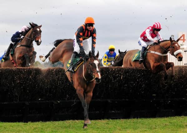 SMALL FRY -- Jumps racing continues to be plagued by small fields in the midwinter build-up to the Cheltenham Festival in March. (PHOTO BY: www.horseracingphoto.co.uk)