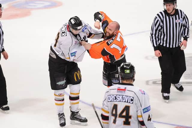 The Sheffield Steelers and Nottingham Panthers don't like one another