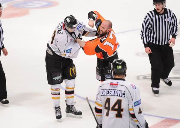 The Sheffield Steelers and Nottingham Panthers don't like one another