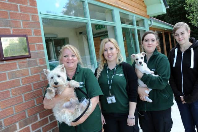 Jerry Green dog rescue centre feature.
The rescue team from left, volunteer, Gill Skinner, deputy manager, Sapphire McInnes, dog welfare assistant, Lauren Eson and volunteer Danielle Monk.