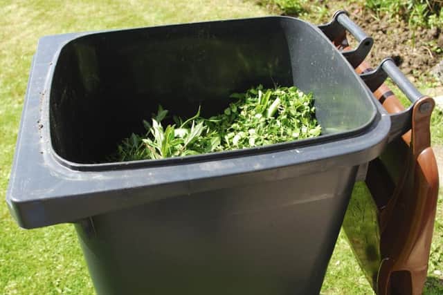 Garden waste wheelie bin