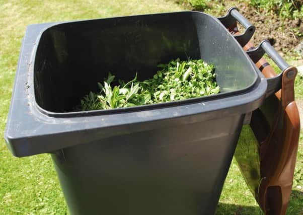 Garden waste wheelie bin