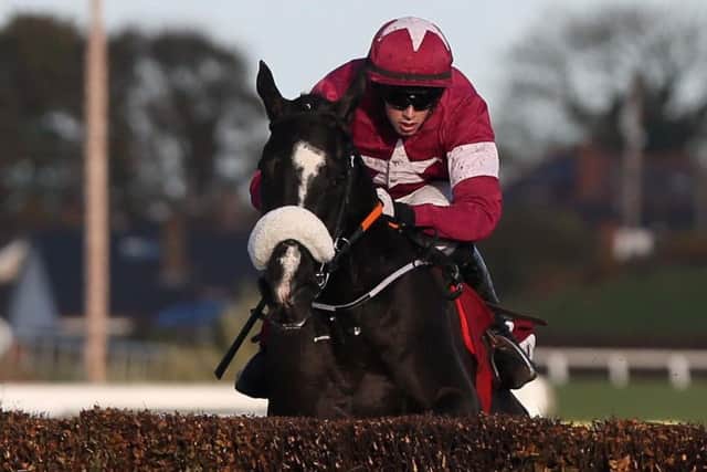 DON AND DUSTED -- Don Cossack, ridden by Bryan Cooper, the winner of the Timico Cheltenham Gold Cup on the final day of another memorable Cheltenham Festival.