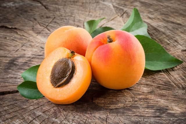 Apricot kernels warning