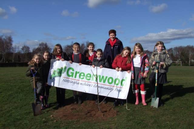 King George V Park - School plants community orchard.