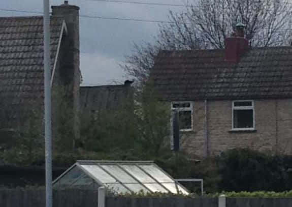 William Spencer claimed he snapped a big cat on the loose in Nottinghamshire