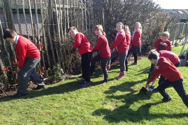 Wynndale Primary School recently received a grant of £100 from the Greenwood Community Tree Planting Scheme.
