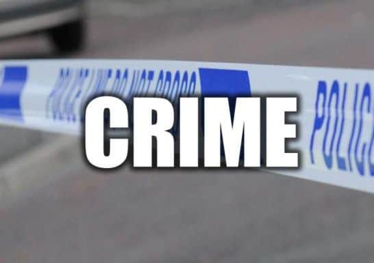 Dogs and puppies have been stolen from farmland in Doncaster