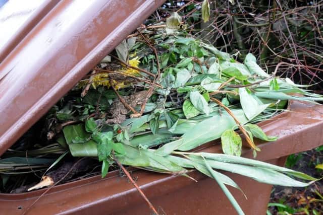 An annual charge for its garden waste service could be reintroduced by Amber Valley Borough Council.