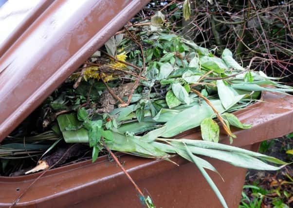 An annual charge for its garden waste service could be reintroduced by Amber Valley Borough Council.