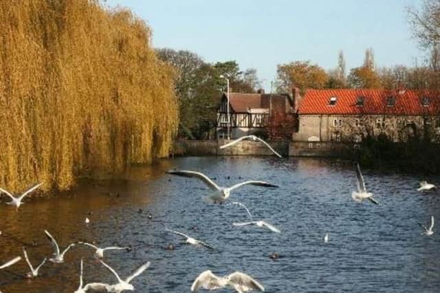 Warsop Carrs