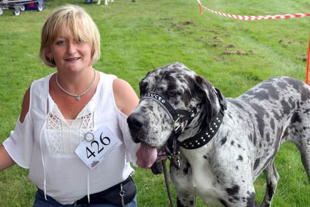 Sammie Cole took Bruce her great dane to the dog show.