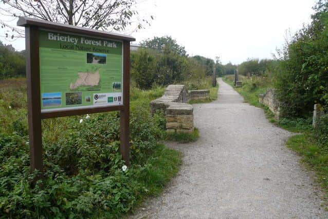 A naked man has been seen around Brierley Forest Park, lleged to have 'performed a lewd sx act' upon himself before running away.
