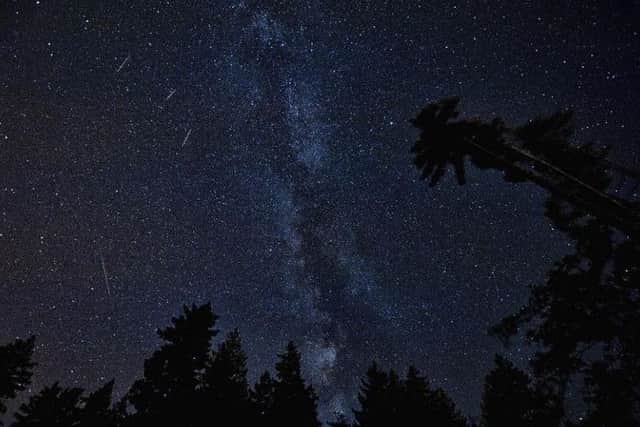 Don't forget to look up!