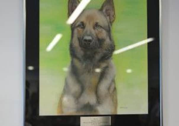A small ceremony was held at Nottinghamshire Police headquarters as a portrait was unveiled in memory of police dog Rebus.