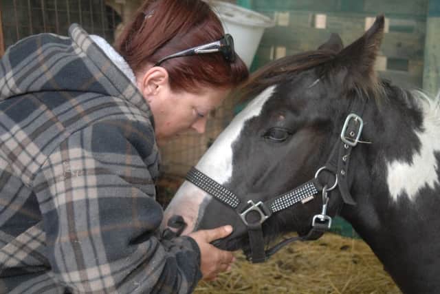 Audra Hall, with her horse Flash after the young colt suffered a cruel knife attack.