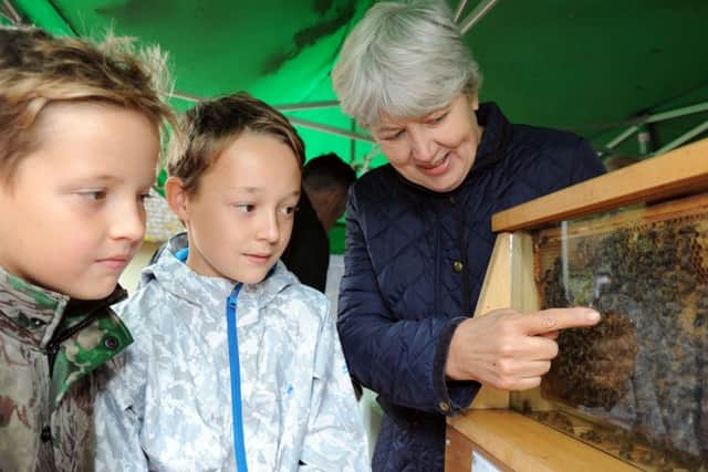 Major Oak Woodland Festival.
Sam and Matthew Stevenson, 8 and 11, respectively, get a lesson in bee keeping from Judith Chase.