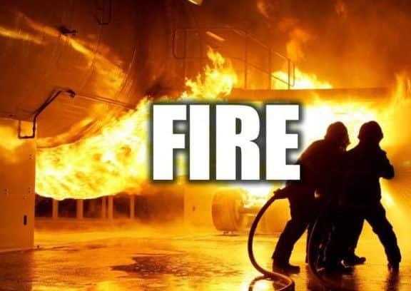 Chickens perished in a blaze on an allotment