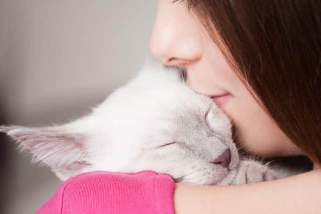 Cats carry a rare bacteria in their mouths and claws, which can be passed on to humans.