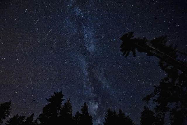 Don't miss the night-time spectacle!