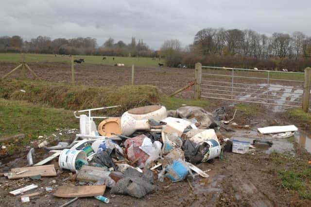 Criminals who dumped a horse to die in a rubbish heap have been branded 'evil' by a local landowner.