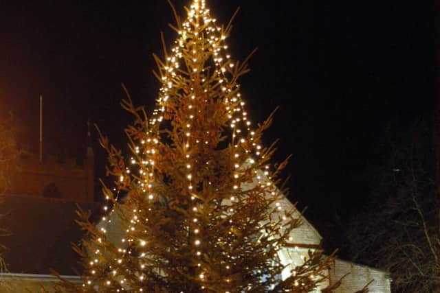 Tips from the council on recycling your Christmas tree.