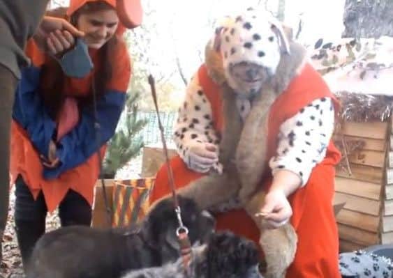 These lucky pets got to meet Santa Paws.