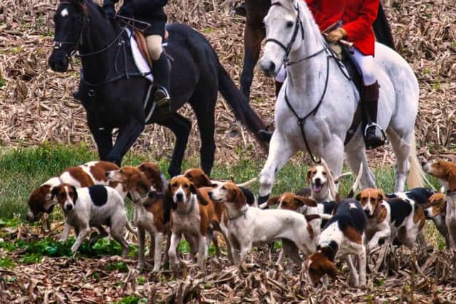 A reader disagrees with a previous correspondent about fox hunting. See letter